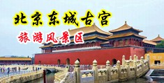 又粗又大鸡巴曰B视频中国北京-东城古宫旅游风景区